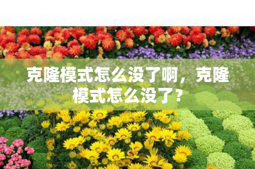 克隆模式怎么没了啊，克隆模式怎么没了？