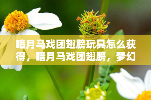 暗月马戏团翅膀玩具怎么获得，暗月马戏团翅膀，梦幻与现实的交织