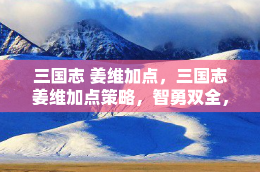 三国志 姜维加点，三国志姜维加点策略，智勇双全，以计取胜