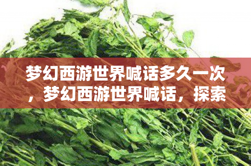 梦幻西游世界喊话多久一次，梦幻西游世界喊话，探索经典游戏的魅力与传承
