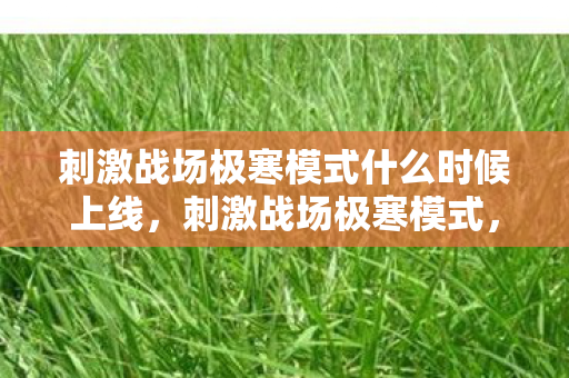 刺激战场极寒模式什么时候上线，刺激战场极寒模式，挑战与生存的双重考验