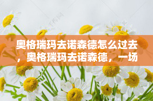 奥格瑞玛去诺森德怎么过去，奥格瑞玛去诺森德，一场跨越艾泽拉斯的冒险之旅
