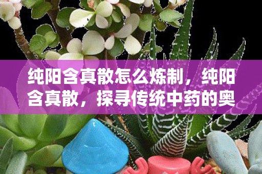 纯阳含真散怎么炼制，纯阳含真散，探寻传统中药的奥秘与现代应用