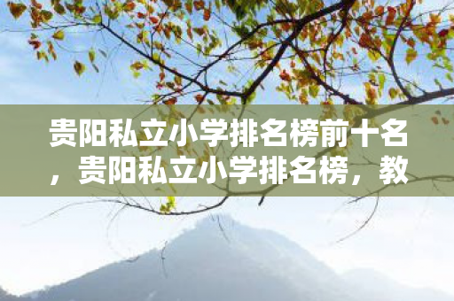 贵阳私立小学排名榜前十名，贵阳私立小学排名榜，教育品质与资源并重