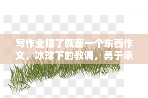 写作业错了就塞一个东西作文，冰球下的教训，勇于承担与成长