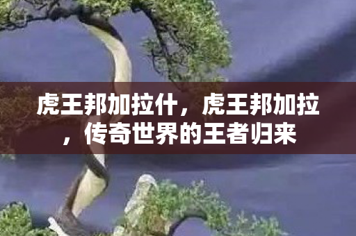 虎王邦加拉什，虎王邦加拉，传奇世界的王者归来