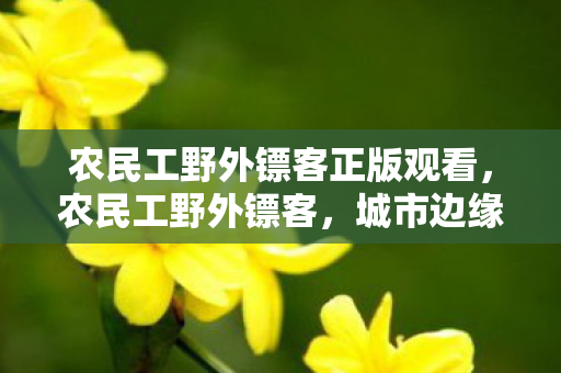 农民工野外镖客正版观看，农民工野外镖客，城市边缘的坚韧与梦想