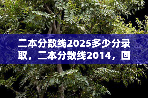 二本分数线2025多少分录取，二本分数线2014，回顾与解析