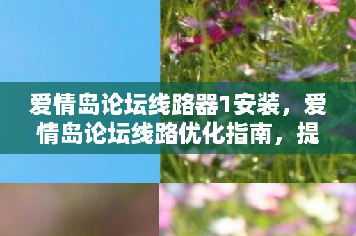 爱情岛论坛线路器1安装，爱情岛论坛线路优化指南，提升网络体验，畅通无阻的浪漫之旅