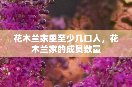 花木兰家里至少几口人，花木兰家的成员数量