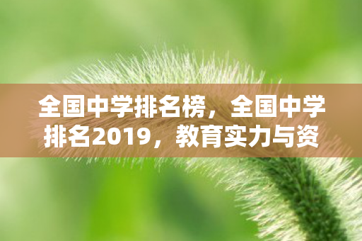 全国中学排名榜，全国中学排名2019，教育实力与资源分布探析