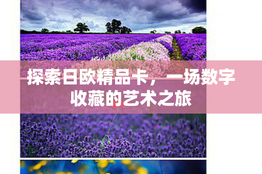 探索日欧精品卡，一场数字收藏的艺术之旅