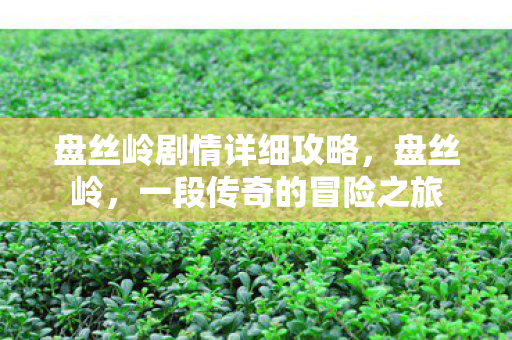 盘丝岭剧情详细攻略，盘丝岭，一段传奇的冒险之旅