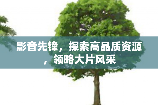 影音先锋,探索高品质资源,领略大片风采 影音先锋,探索高品质资源,领略大片风采