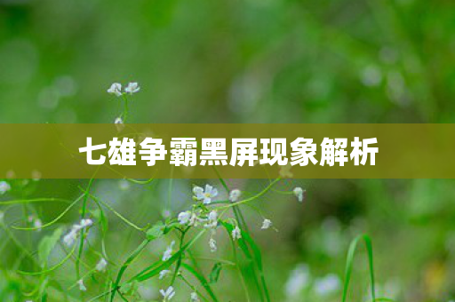 七雄争霸黑屏现象解析