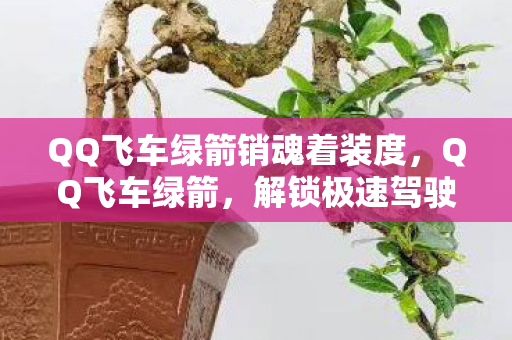QQ飞车绿箭销魂着装度，QQ飞车绿箭，解锁极速驾驶新体验