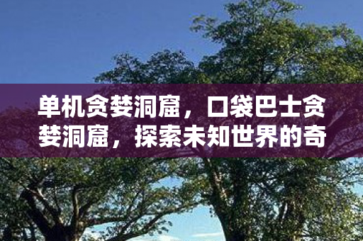 单机贪婪洞窟，口袋巴士贪婪洞窟，探索未知世界的奇妙之旅