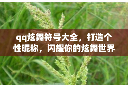 qq炫舞符号大全，打造个性昵称，闪耀你的炫舞世界