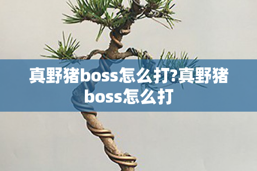 真野猪boss怎么打?真野猪boss怎么打