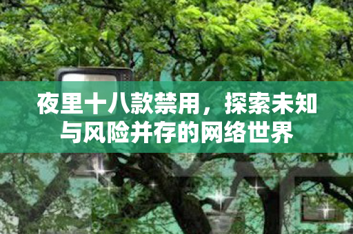 夜里十八款禁用，探索未知与风险并存的网络世界