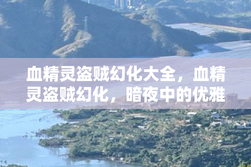 血精灵盗贼幻化大全，血精灵盗贼幻化，暗夜中的优雅与速度