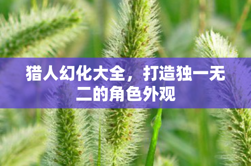 猎人幻化大全，打造独一无二的角色外观