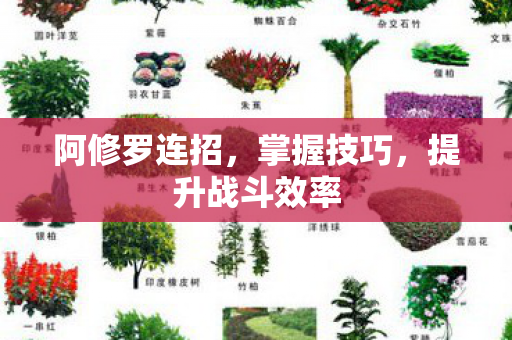 阿修罗连招，掌握技巧，提升战斗效率