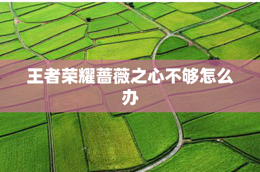 王者荣耀蔷薇之心不够怎么办