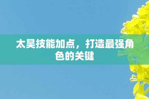 太昊技能加点，打造最强角色的关键