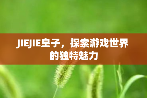 JIEJIE皇子，探索游戏世界的独特魅力