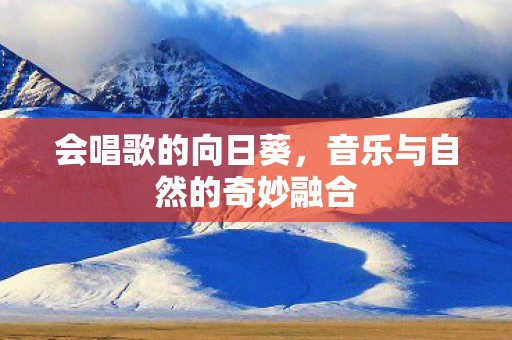 会唱歌的向日葵，音乐与自然的奇妙融合