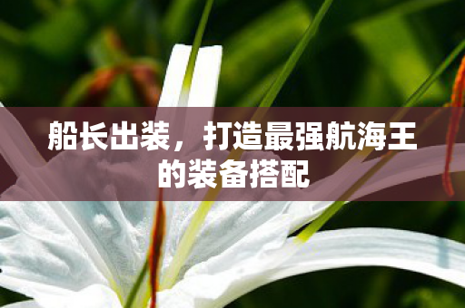 船长出装，打造最强航海王的装备搭配