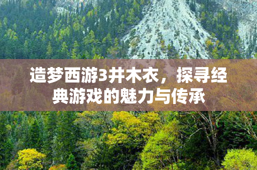造梦西游3井木衣，探寻经典游戏的魅力与传承