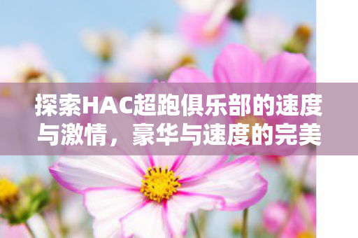 探索HAC超跑俱乐部的速度与激情，豪华与速度的完美融合