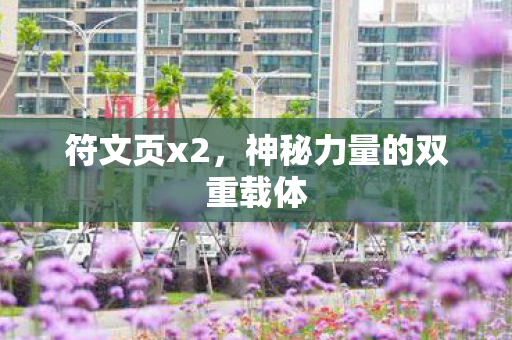 符文页x2，神秘力量的双重载体
