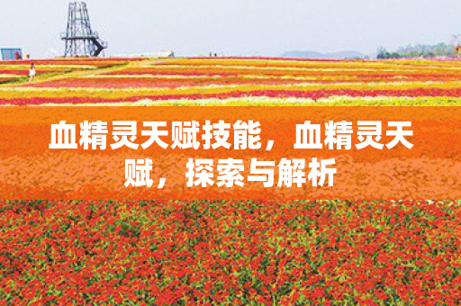 血精灵天赋技能，血精灵天赋，探索与解析