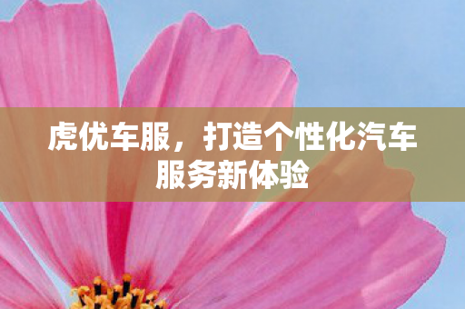 虎优车服，打造个性化汽车服务新体验