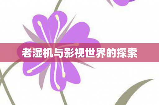老湿机与影视世界的探索 老湿机与影视世界的探索