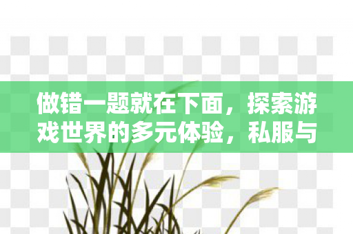 做错一题就在下面，探索游戏世界的多元体验，私服与官方服务器的差异与共存