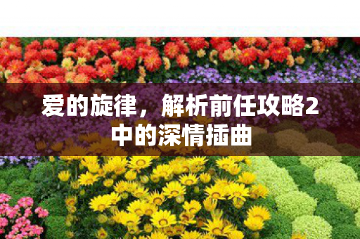 爱的旋律，解析前任攻略2中的深情插曲