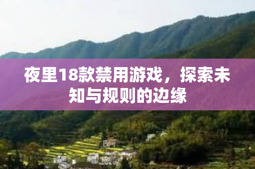 夜里18款禁用游戏，探索未知与规则的边缘
