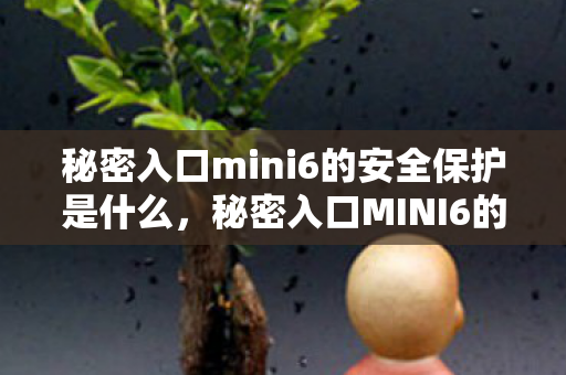 秘密入口mini6的安全保护是什么，秘密入口MINI6的安全保护，构建坚固的防线