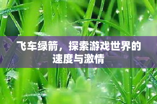 飞车绿箭，探索游戏世界的速度与激情