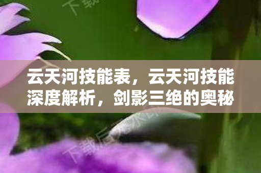 云天河技能表，云天河技能深度解析，剑影三绝的奥秘