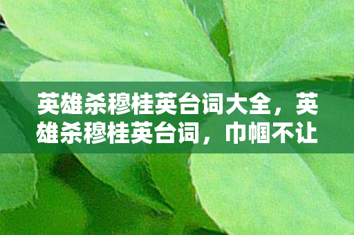 英雄杀穆桂英台词大全，英雄杀穆桂英台词，巾帼不让须眉，智勇双全的女中豪杰