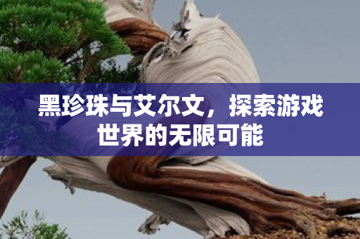 黑珍珠与艾尔文，探索游戏世界的无限可能