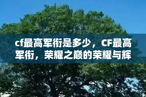 cf最高军衔是多少，CF最高军衔，荣耀之巅的荣耀与辉煌