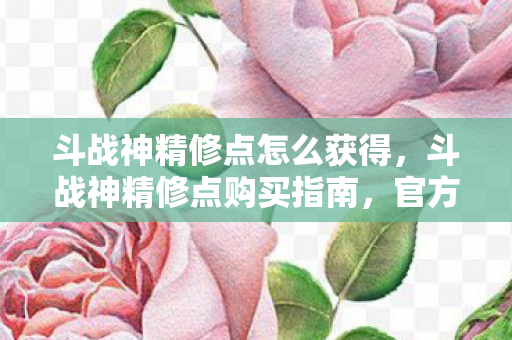 斗战神精修点怎么获得，斗战神精修点购买指南，官方渠道与性价比分析