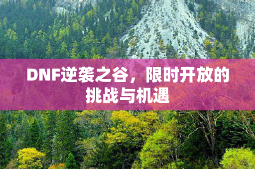 DNF逆袭之谷，限时开放的挑战与机遇