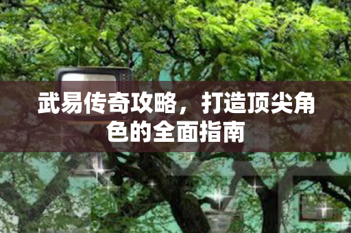 武易传奇攻略，打造顶尖角色的全面指南